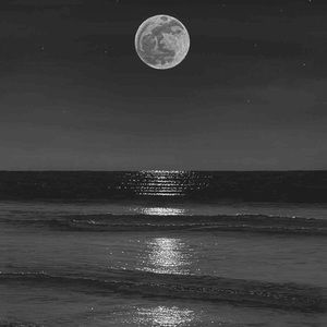 Meet your Posher, Trinity